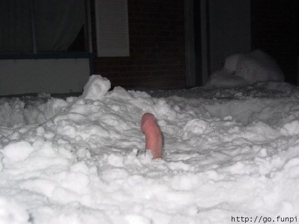 Snow dick